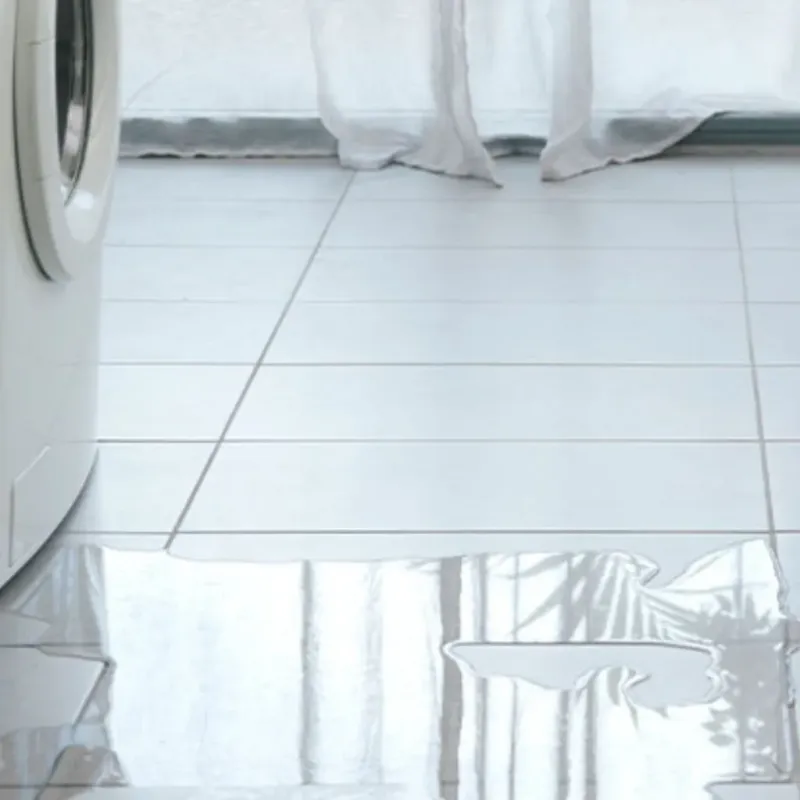 Appliance Leak Cleanup in Braselton, GA